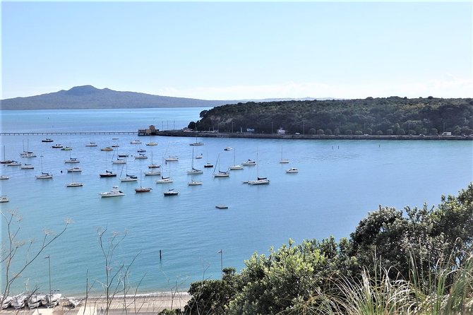 Half-Day: Small Group Auckland Scenic Tour - 4 HOURS - Pricing and Booking Details