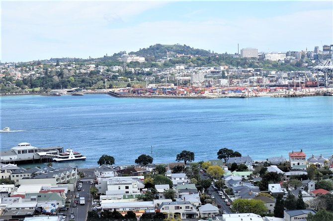 Half-Day: Small Group Auckland Scenic Tour - 4 HOURS - Hotel Transfer and Accessibility Information