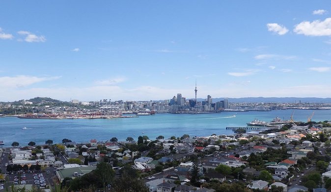 Half-Day: Small Group Auckland Scenic Tour - 4 HOURS - Booking Tips and Customer Reviews