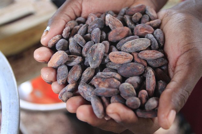 Half-Day Small-Group Chocolate Making and Tasting Tour (Feb ) - Tour Highlights