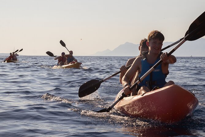 Half-Day Small-Group Kayaking Tour in Makarska - Price