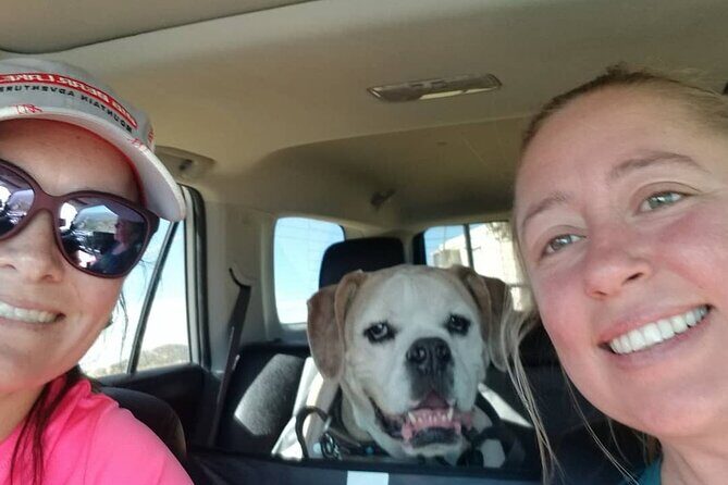 Half-Day Small Group Offroad 4x4 Truck Tour in San Diego - Good To Know