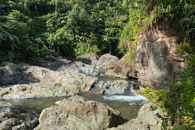 Half-Day Small-Group River Experience in El Yunque With Local - Inclusions and Meeting/Pickup