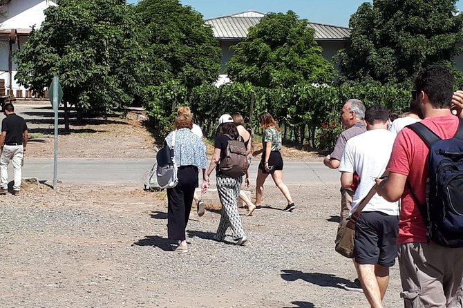 Half-Day Small-Group Santa Rita Vineyard Tour - Tour Duration and Type