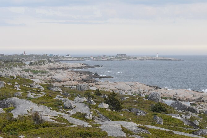 Half Day Small Group Tour in Peggys Cove and Titanic Cemetery - Verified Reviews and Ratings