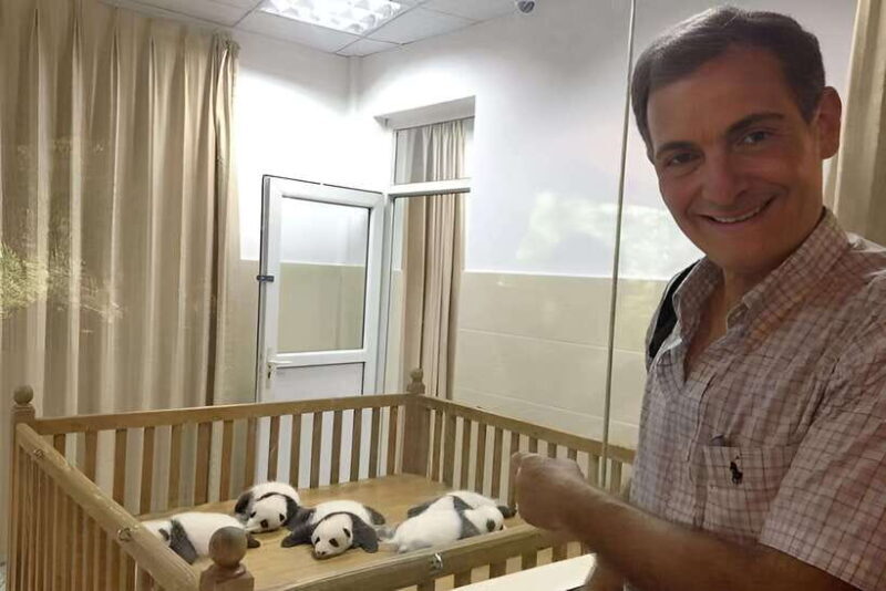 Half day small group tour to Chengdu Panda Breeding Center - Introduction