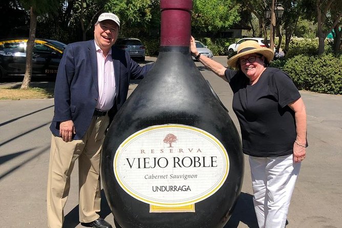 Half-Day Small Group Undurraga Vineyard Tour - Winetasting Included - Tour Highlights