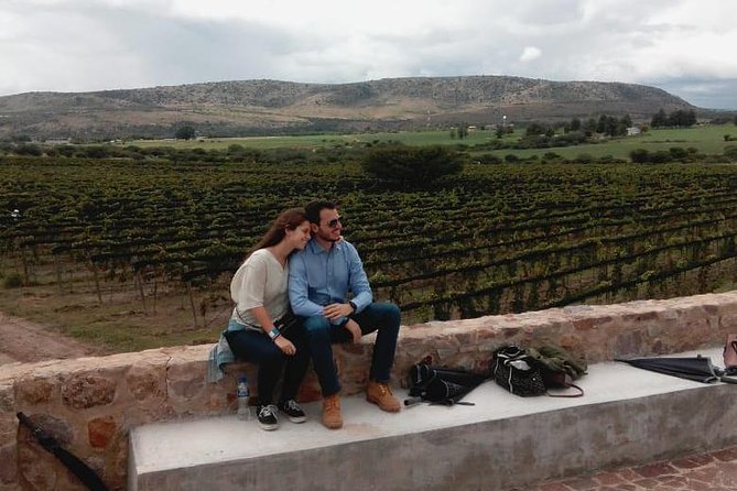 Half-Day Small-Group Vineyard Tour With Tastings  - San Miguel De Allende - Tour Details