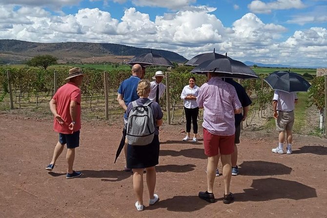 Half-Day Small-Group Vineyard Tour With Tastings  - San Miguel De Allende - Menu and Tastings