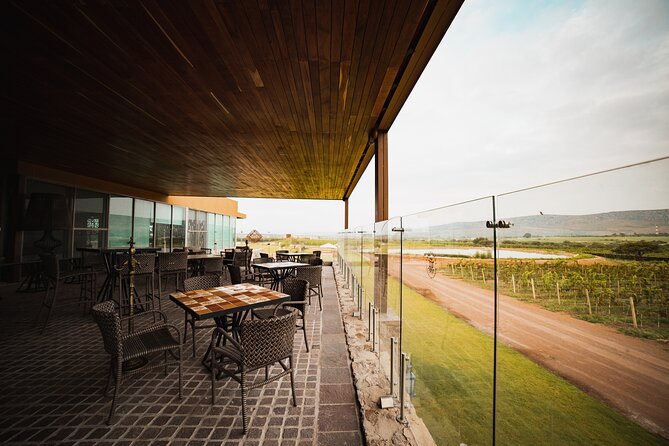 Half-Day Small-Group Vineyard Tour With Tastings  - San Miguel De Allende - Positive Feedback