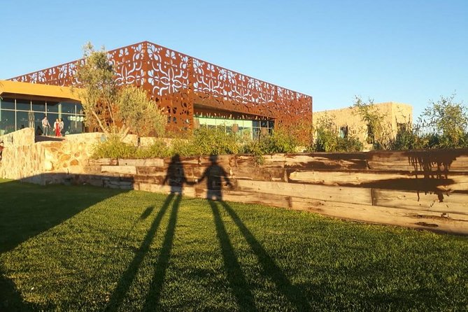 Half-Day Small-Group Vineyard Tour With Tastings  - San Miguel De Allende - Suggestions for Improvement