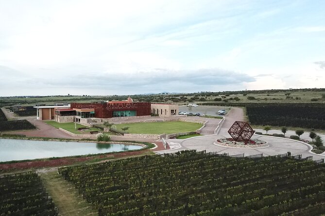 Half-Day Small-Group Vineyard Tour With Tastings  - San Miguel De Allende - The Sum Up