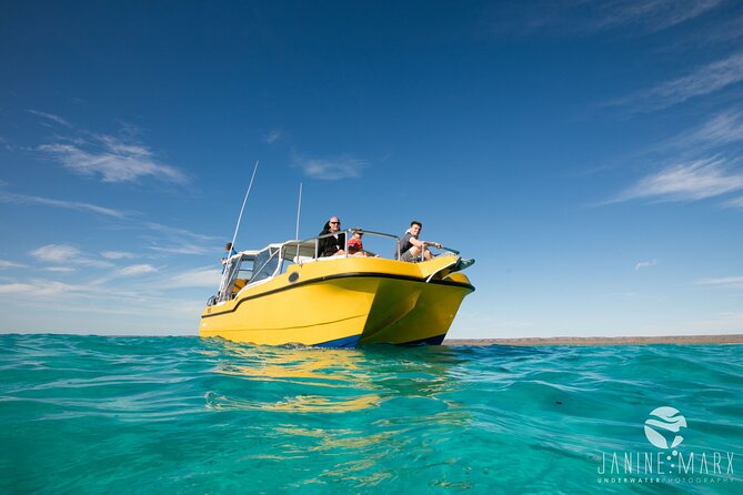 Half Day Snorkel 2.5hr Turtle Tour on the Ningaloo Reef, Exmouth - Tour Overview and Details