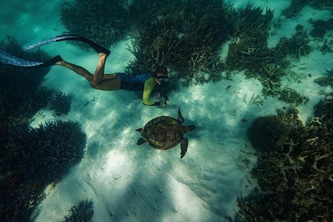 Half Day Snorkel 2.5hr Turtle Tour on the Ningaloo Reef, Exmouth - Snorkeling and Scenic Tour Highlights