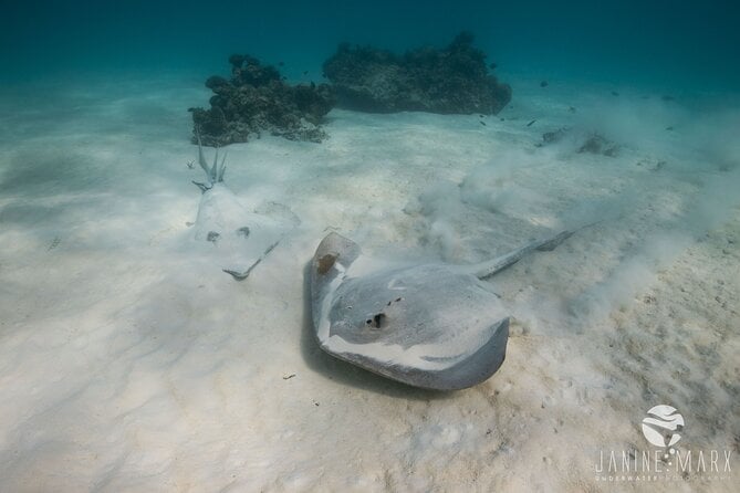 Half Day Snorkel 2.5hr Turtle Tour on the Ningaloo Reef, Exmouth - Additional Tour Information