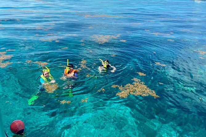 Half Day Snorkel Trip on Reefs in the Florida Keys - National Marine Sanctuary and State Park