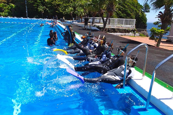 Half-Day Snorkeling Course Relieved at the Beginning Even in the Sea of Izu, Veteran Instructors Wil - Benefits of Starting Snorkeling in the Sea of Izu