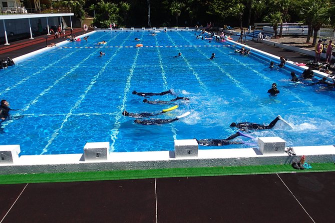 Half-Day Snorkeling Course Relieved at the Beginning Even in the Sea of Izu, Veteran Instructors Wil - Expertise of Veteran Instructors