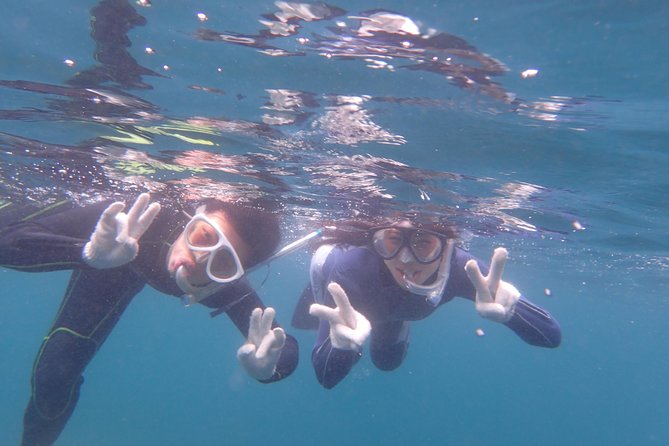 Half-Day Snorkeling Course Relieved at the Beginning Even in the Sea of Izu, Veteran Instructors Wil - Tips for a Successful Snorkeling Experience