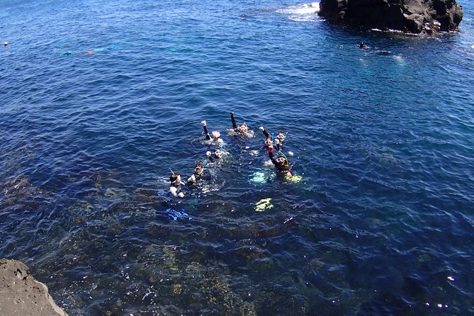 Half-Day Snorkeling Course Relieved at the Beginning Even in the Sea of Izu, Veteran Instructors Wil - Booking and Cancellation Policy for the Course