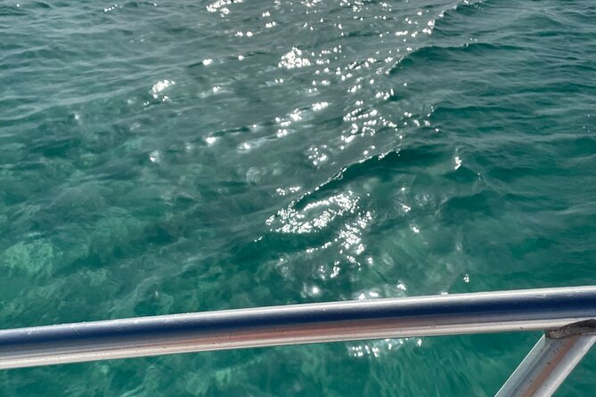 Half-day Snorkeling, Cruising, Iguana Island, Half Moon Bay - Activity Overview