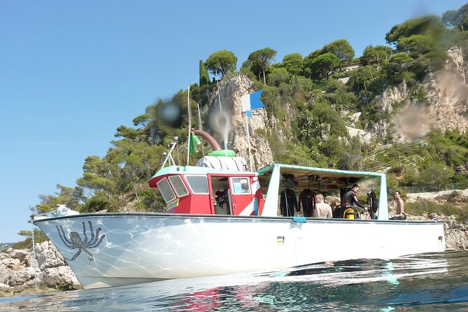 Half Day Snorkeling & Diving in Nice - Dive Sites and Marine Life