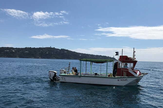 Half Day Snorkeling & Diving in Nice - Half-Day Itinerary