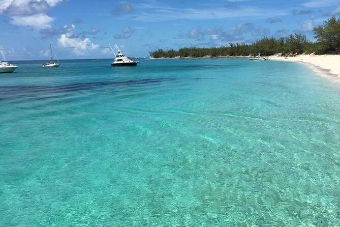 Half Day Snorkeling Tour in the Bahamas - Value for Money: Is It Worth It?