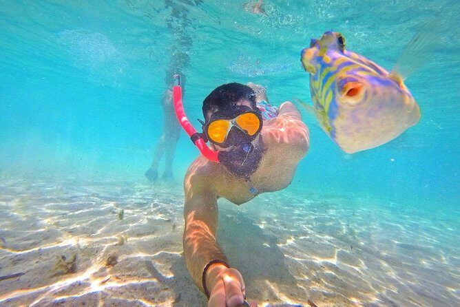 Half Day Snorkeling Tour in the Bahamas - Practical Tips & Considerations