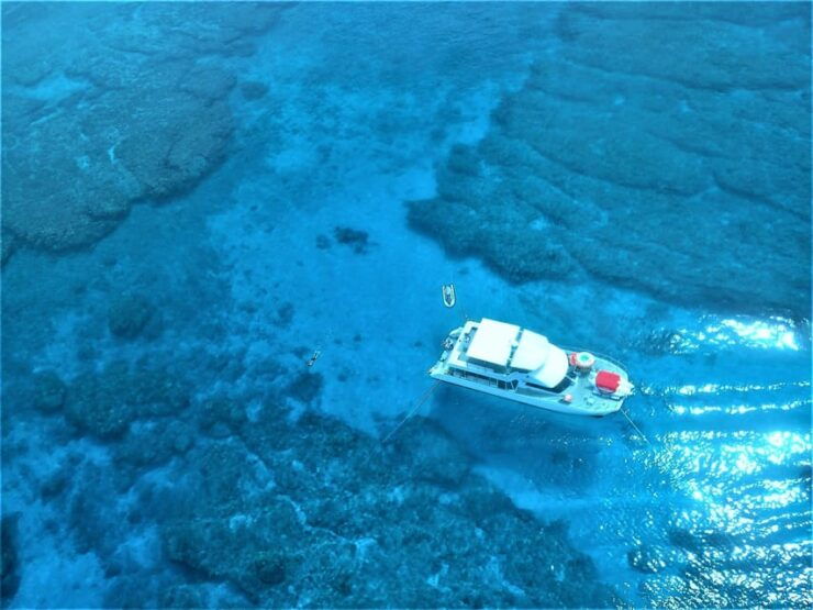 Half-Day Snorkeling Trip to Kerama (A : Kerama Snorkeling) - Snorkeling Experience