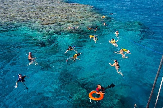 Half-Day Snorkeling Trip to Ras-Mohammed National Park by Bus - Maximum Group Size and Accessibility