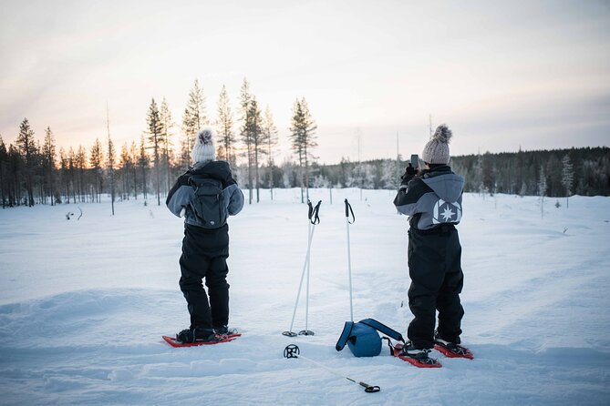 Half Day Snowshoe Hiking Adventure in Levi Lapland - Overview of the Snowshoe Hiking Adventure
