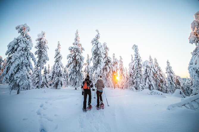 Half Day Snowshoe Hiking Adventure in Levi Lapland - Required Booking Details for the Trip