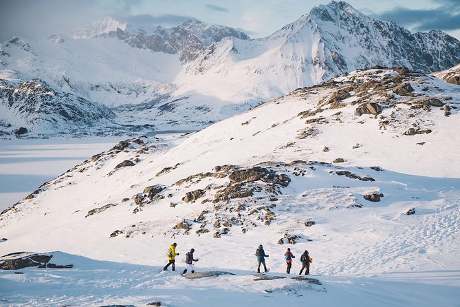 Half Day Snowshoe Tour - What To Expect
