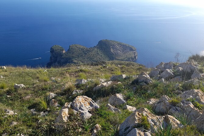 Half-Day Sorrento Private Tour by Vespa - Meet Your Tour Guide: Amber