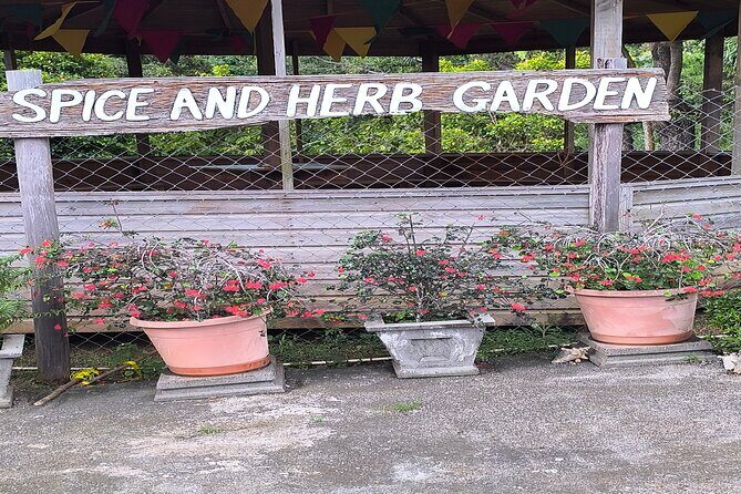 Half day Spice Necklace Tour - A Deep Dive into the Experience