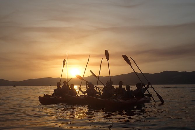 Half-Day Split Sea Kayak Adventure - Frequently Asked Questions