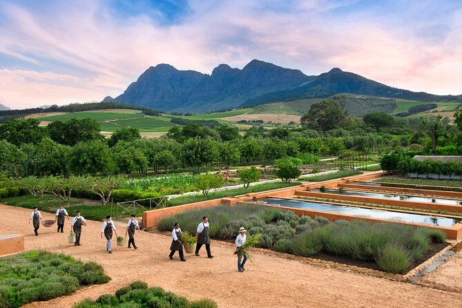 Half Day Stellenbosch Winelands Private Tour From Cape Town - Common Questions