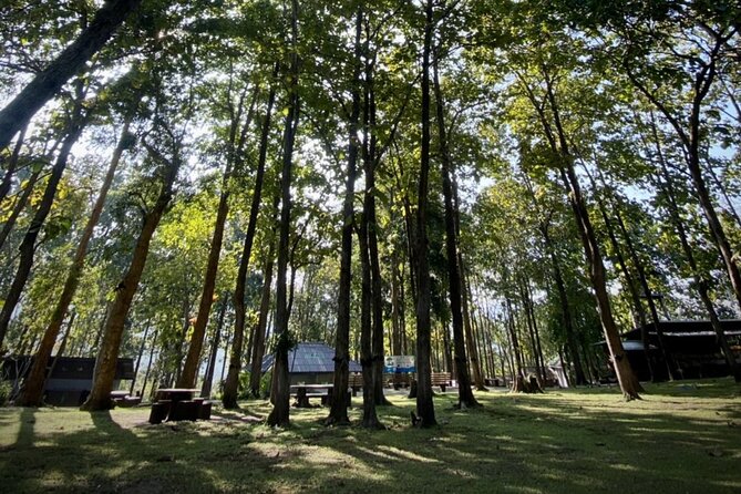 Half Day Sticky Waterfall (Bua Thong Waterfall) and Local Market - Weather and Refunds