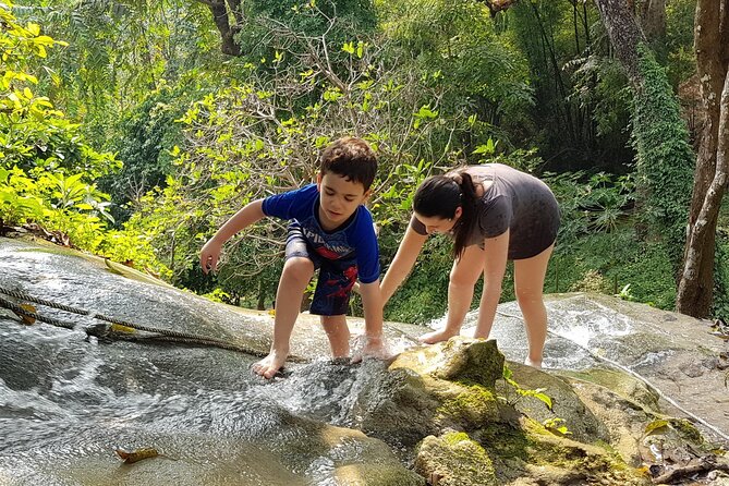 Half Day Sticky Waterfall (Bua Thong Waterfall) and Local Market - Pricing