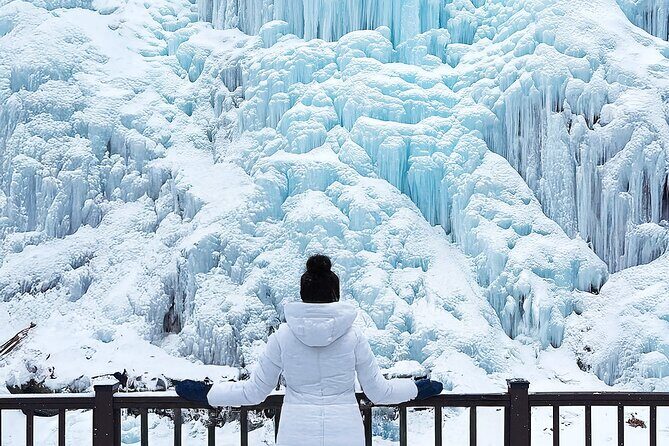 Half Day Strawberry & Snow Sled Tour in Eobi Seoul - Final Thoughts: Is This Tour Right for You?
