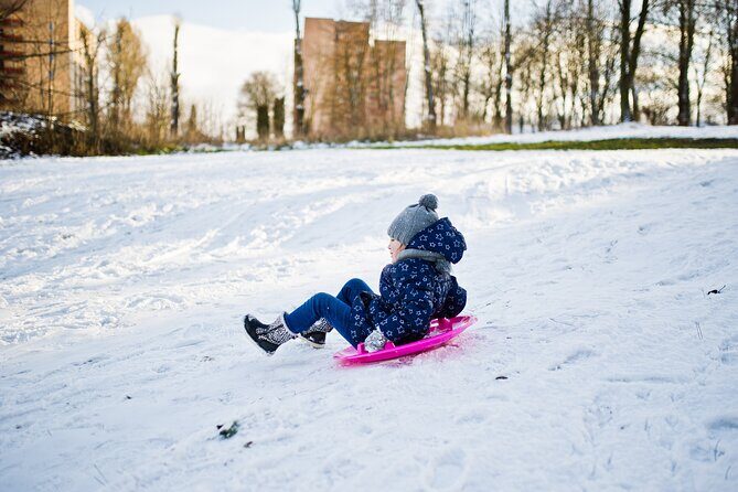 Half Day Strawberry & Snow Sled Tour in Eobi Seoul - FAQs