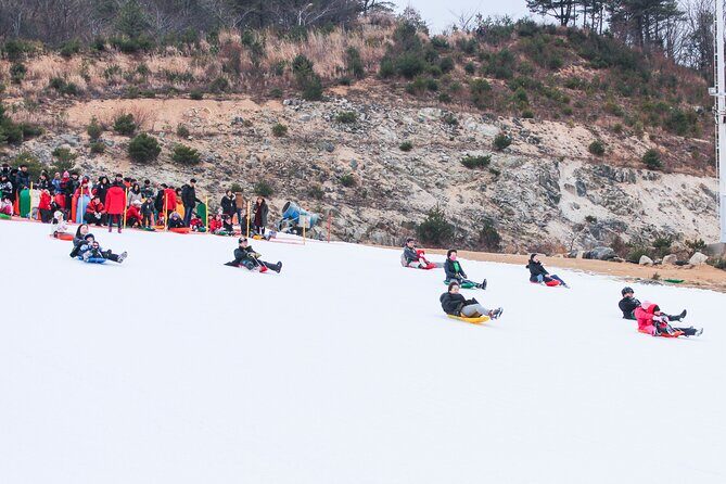 Half Day Strawberry & Snow Sled Tour in Eobi Seoul - Convenient and Thoughtful Itinerary