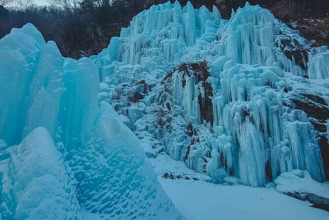 Half Day Strawberry Tour in Eobi and Nami - Pricing and Value