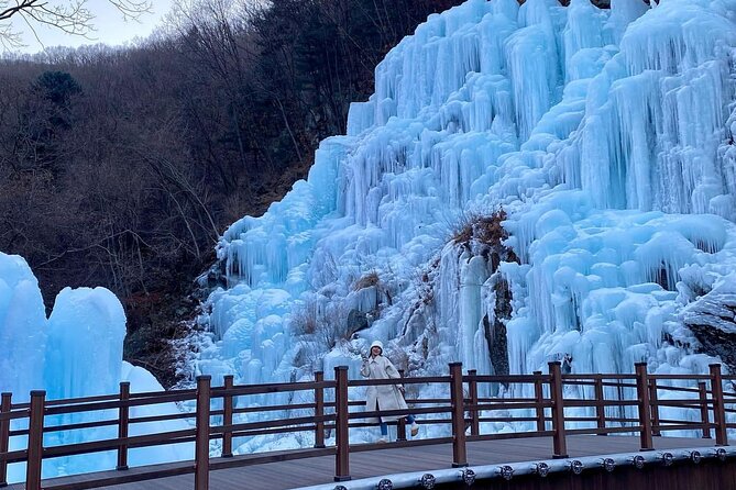 Half Day Strawberry Tour in Eobi and Nami - Cancellation Policy