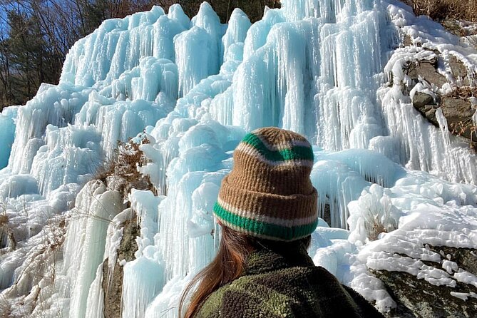 Half Day Strawberry Tour in Eobi and Nami - Activities and Itinerary