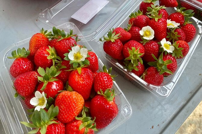 Half Day Strawberry Tour in Eobi and Nami - Tips and Recommendations
