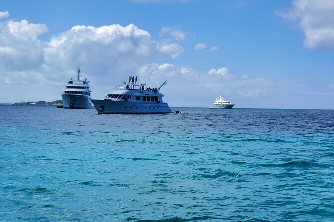 HALF DAY Swiming Pigs and Sharks Tour (Nassau to Exuma by Plane) - Final Thoughts