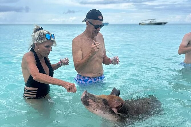 Half Day Swimming Pigs on Rose Island, Snorkeling and Lunch - Exploring Rose Island