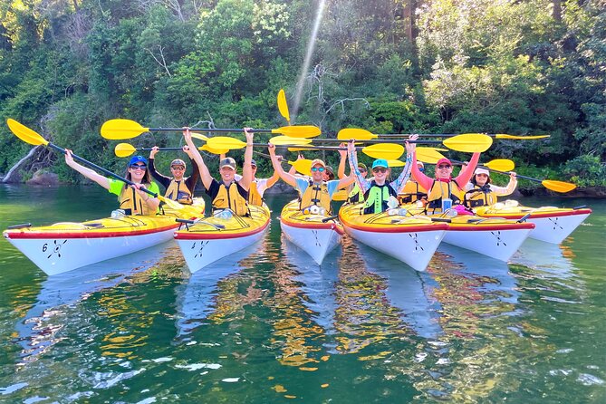 Half-Day Sydney Middle Harbour Guided Kayaking Eco Tour - Reviews